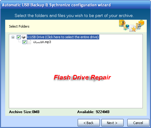 How to backup/sync files to a USB drive automatically when plugged in